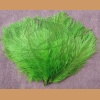 Ostrich feather, green 