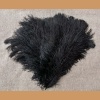 Ostrich feather, black 