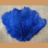 Ostrich feather,blue