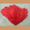Ostrich feather, red